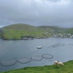 Fishing accounts for over 90 per cent of the economy on the islands, although there is potential for it to more for more livestock and grains production.