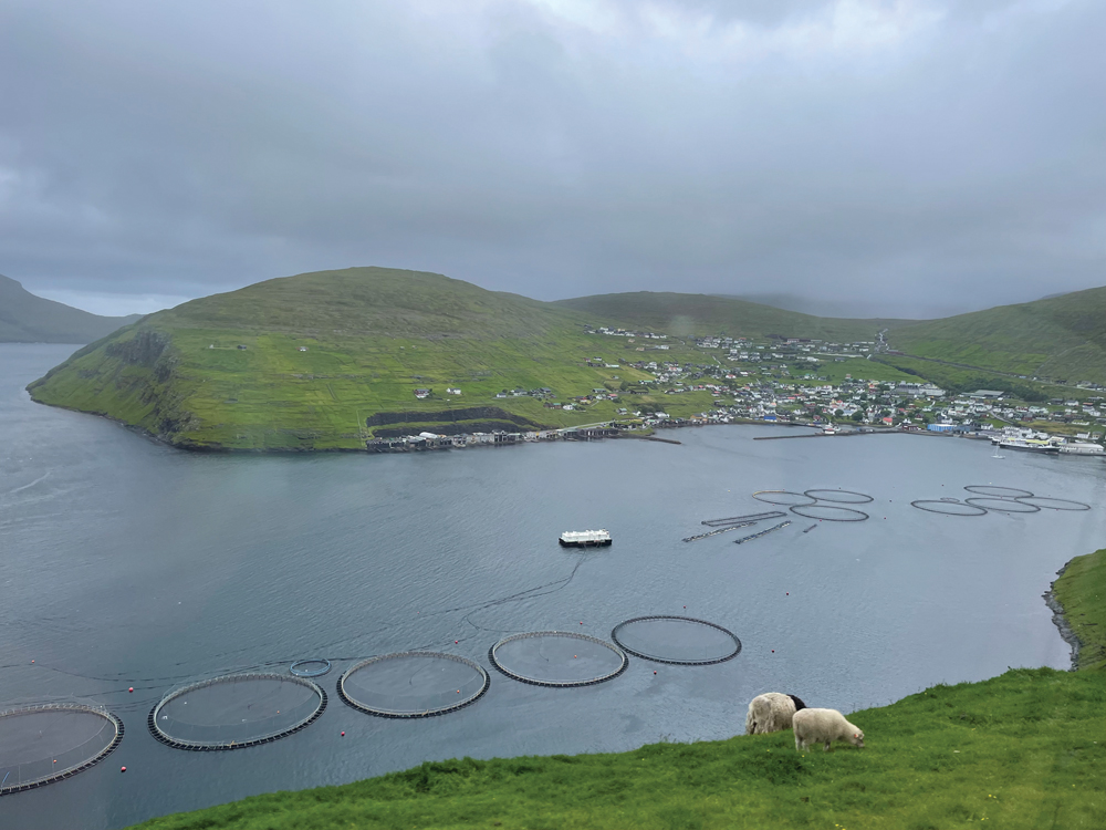 Fishing accounts for over 90 per cent of the economy on the islands, although there is potential for it to more for more livestock and grains production.