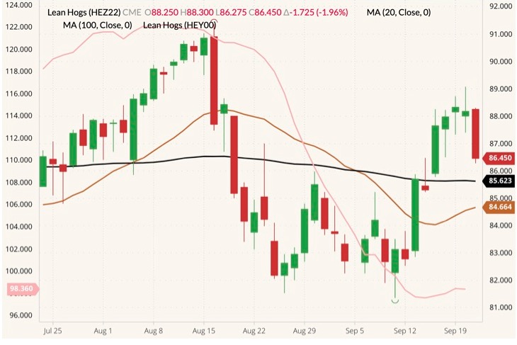 CME December 2022 lean hogs (candlesticks, right column) with 20- and 100-day moving averages (brown and black lines) and CME cash lean hog index (pink line, left column). (Barchart)
