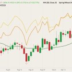 CBOT December 2022 soft red winter wheat (candlesticks) with 20-day moving average (dark green line), MGEX December 2022 hard red spring wheat (yellow line) and K.C. December 2022 hard red winter wheat (orange line). (Barchart)
