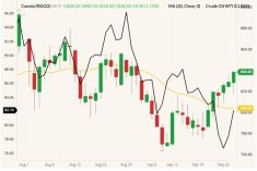 ICE November 2022 canola (candlesticks) with 20-day moving average (yellow line, right column) and NYMEX November 2022 West Texas intermediate crude (black line, left column). (Barchart)

