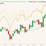 CBOT December 2022 soft red winter wheat (candlesticks) with 20-day moving average (green line), MGEX December 2022 hard red spring wheat (yellow line) and K.C. December 2022 hard red winter wheat (orange line). (Barchart)

