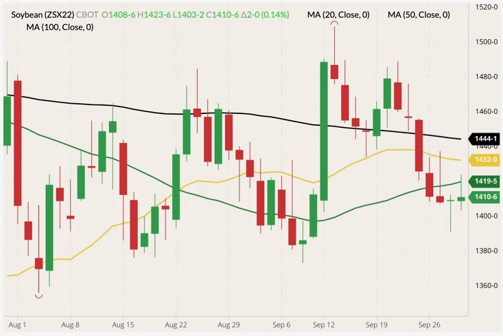 CBOT November 2022 soybeans (candlesticks) with 20-, 50- and 100-day moving averages (yellow, green and black lines). (Barchart)
