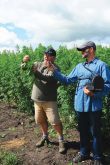 Jeff Kostuik of Verve Seed Solutions shows how to separate the hurd from the hemp plant while James Frey holds onto the microphone.  
photo: GORD LEATHERS