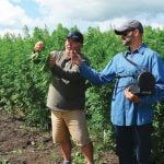Jeff Kostuik of Verve Seed Solutions shows how to separate the hurd from the hemp plant while James Frey holds onto the microphone.
photo: GORD LEATHERS