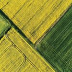 Traders and analysts argue that satellite-based crop data shouldn’t take so long for StatCan to process.