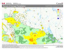 This issue&rsquo;s map shows the percent of average precipitation that has fallen across the Prairies during the 90-day period ending Aug. 22. Most of Manitoba and Alberta saw near- to slightly-above-average rainfall, while central Saskatchewan and the Peace region of Alberta were the dry spots, with below- to well-below-average amounts.