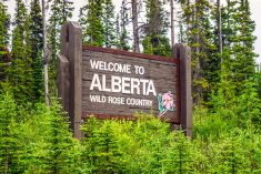 (Jacek_Sopotnicki/iStock/Getty Images)
