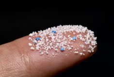 Research so far has suggested microplastics play havoc with soil structure, release contaminants and harm the soil biosphere.