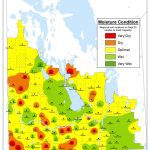 Canola harvest sees surge, soybeans start coming off fields