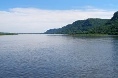The Mississippi River. (Mark D. Tomer photo courtesy ARS/USDA)
