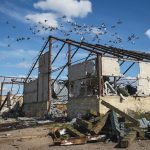 Pigeons fly over destroyed grain storage in the village of Kamyanka in Ukraine’s Kharkiv region on Sept. 22.