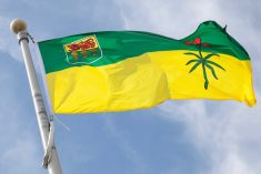 (Lightguard/iStock/Getty Images)
