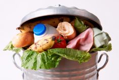 With higher food prices, more than 40 per cent of Canadians are wasting less than they were a year ago, according to a recent study.