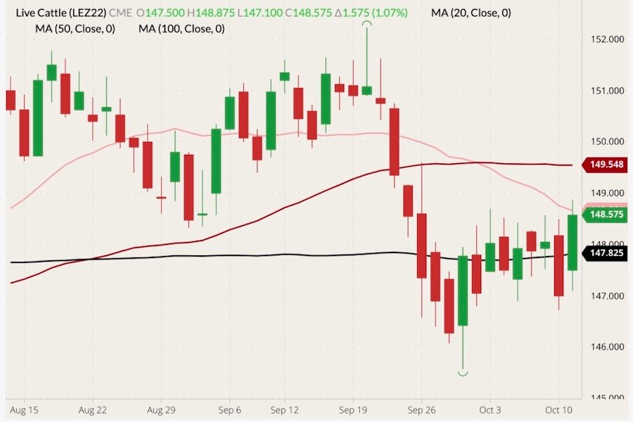 CME December 2022 live cattle (candlesticks) with 20-, 50- and 100-day moving averages (pink, dark red and black lines). (Barchart)
