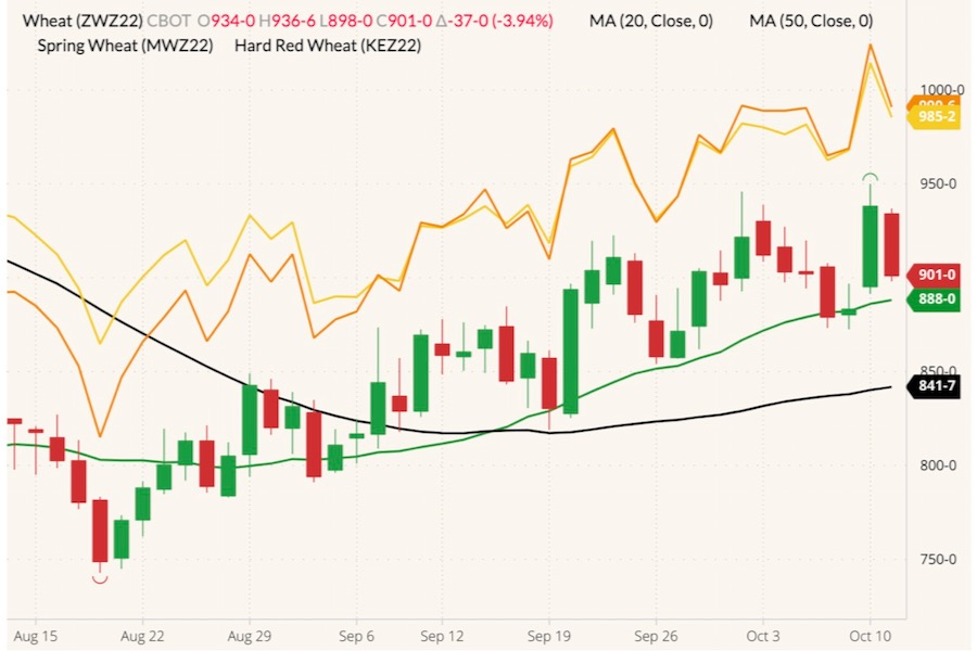 CBOT December 2022 soft red winter wheat (candlesticks) with 20-, and 50-day moving averages (green and black lines), MGEX December 2022 hard red spring wheat (yellow line) and K.C. December 2022 hard red winter wheat (orange line). (Barchart)
