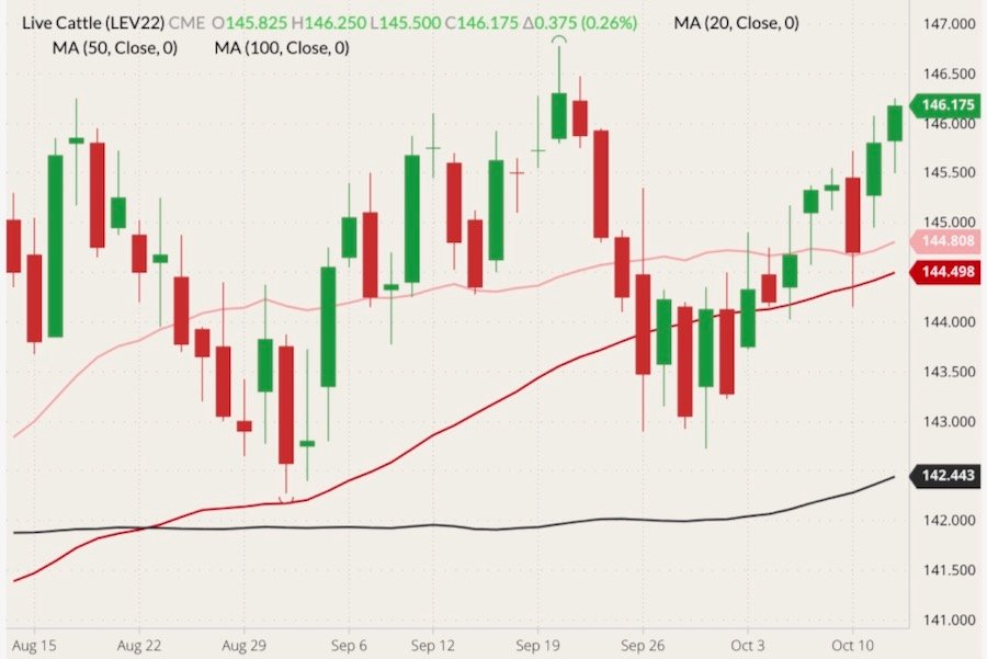 CME October 2022 live cattle (candlesticks) with 20-, 50- and 100-day moving averages (pink, red and black lines). (Barchart)
