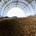 ‘If grain has always been a tool of war, the criminal syndicate disguised as a country that is Russia has taken it to a whole new level.’ – Gord Gilmour.