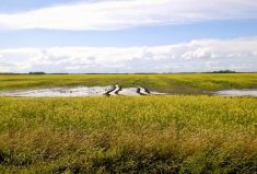 Changes were made in consultation with producer groups that have expressed interest in higher coverage levels due to rising costs.