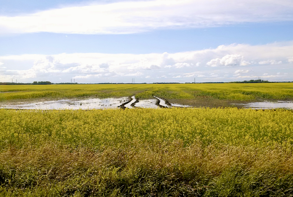 Changes were made in consultation with producer groups that have expressed interest in higher coverage levels due to rising costs.