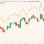 CBOT December 2022 soft red winter wheat (candlesticks) with MGEX December 2022 hard red spring wheat (yellow line) and K.C. December 2022 hard red winter wheat (orange line). (Barchart)
