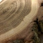 “If you use weather data, you won’t find one of these droughts. Look at these droughts of 20 to 30 years.” – David Sauchyn, PARC.