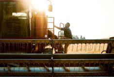 ‘When farmers view themselves as commodity producers, there can be a tendency to think that the responsibility for their products ends upon delivery to the processing facility or the elevator. That is not the case.’ – Cam Dahl.