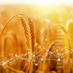 A common phrase for tech leaders and companies is “data-driven agriculture.” But which interests does farm data serve?