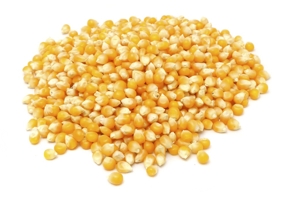 Photo: Thinkstock

