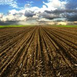 Through soil degradation and increased urbanization, we lose an area the size of Scotland every year. Just two per cent of the world’s land area produces 40 per cent of the world’s food.