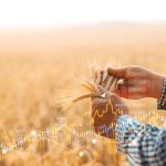 Over the last 70 years, after U.S. stocks drop by 20 per cent or more, it took on average 19 months to recover.