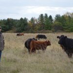 Cattle producers should have been big winners in the trade deal with Europe but the opposite has been true so far, says Dan Darling, who has represented the cattle sector on this matter for close to a decade.