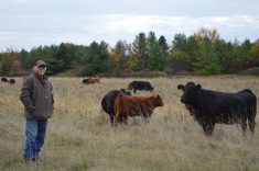 Cattle producers should have been big winners in the trade deal with Europe but the opposite has been true so far, says Dan Darling, who has represented the cattle sector on this matter for close to a decade.