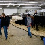 Producers from throughout the Prairies and Ontario made the trip to Brandon’s Keystone Centre for Ag Ex in late October.