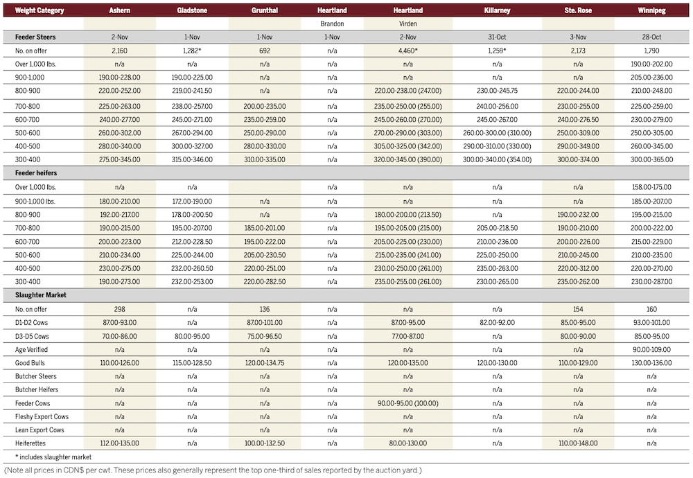 More cattle through rings to start November
