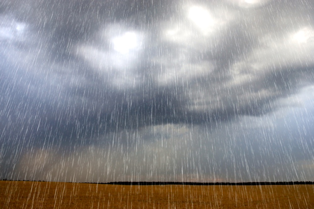 Rain in farm fields