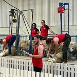 Sheep shearing demonstration at AgEx in Brandon last month.