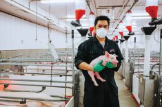 ACC’s new program will allow workers in the pork sector to access continued education on their own time.