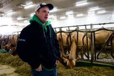 Sean Smith of Clanman Jerseys near Clanwilliam outlines his system during an October bus tour.