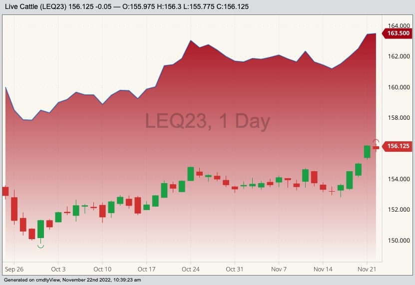 CME August 2023 live cattle (candlesticks) beneath CME December 2023 live cattle (top line),  The spread between the two has been influencing the price structure for calves, Jerry Klassen writes. (Barchart)
