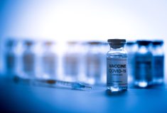 Tyson Foods ends COVID-19 vaccine mandate for employees