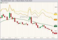 CBOT March 2023 soft red winter wheat (candlesticks) with 20-day moving average (green line), MGEX March 2023 hard red spring wheat (yellow line) and K.C. March 2023 hard red winter wheat (orange line). (Barchart)
