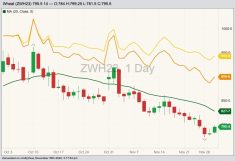 CBOT March 2023 soft red winter wheat with 20-day moving average (dark green line), MGEX March 2023 hard red spring wheat (yellow line) and K.C. March 2023 hard red winter wheat (orange line). (Barchart)
