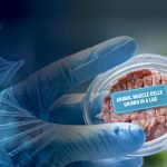 The Cultured Meat Revolution: By the end of the decade these products could be as cheap as traditional meat.