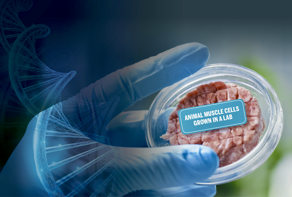 The Cultured Meat Revolution: By the end of the decade these products could be as cheap as traditional meat.