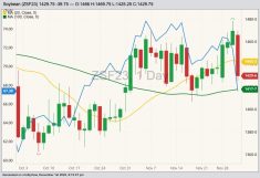 CBOT January 2023 soybeans (candlesticks, right column) with 20- and 100-day moving averages and CBOt January 2023 soyoil (blue line, left column). (Barchart)
