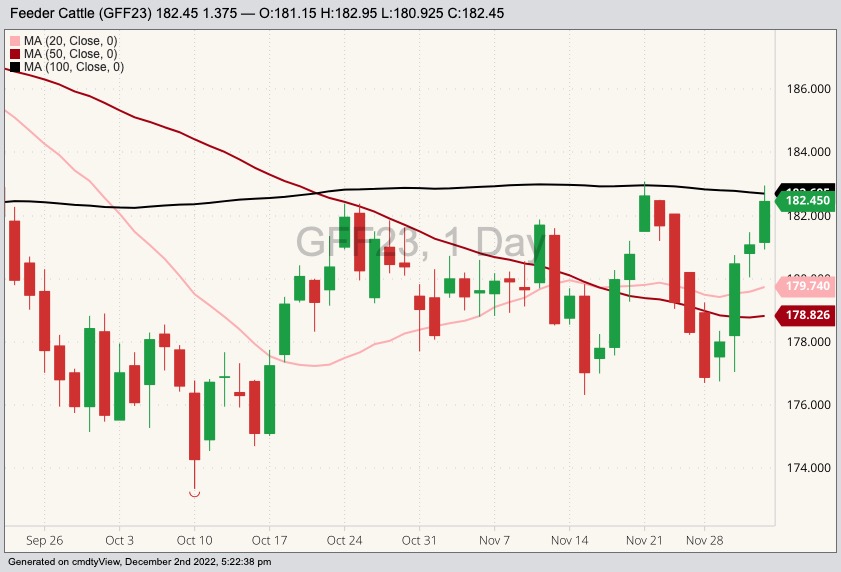 CME January 2023 feeder cattle with 20-, 50- and 100-day moving averages. (Barchart)
