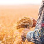 “It’s a total crapshoot. It’s almost impossible to write business plans.”