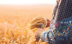 “It’s a total crapshoot. It’s almost impossible to write business plans.”