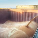 Country elevators have taken in a lot more wheat so far this crop year but global markets are quickly soaking it up.